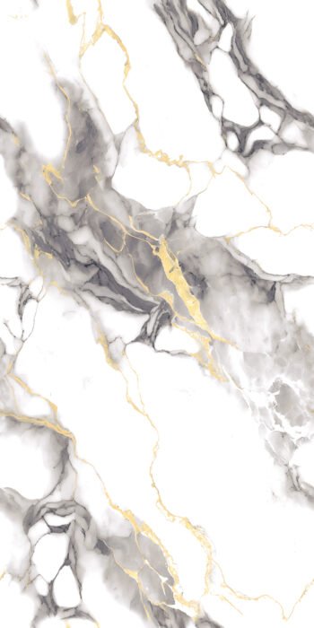 3149 | 2x4 ft | Golden Series Tiles
