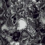 Majorca Black | 600x1200mm | High glossy Tiles