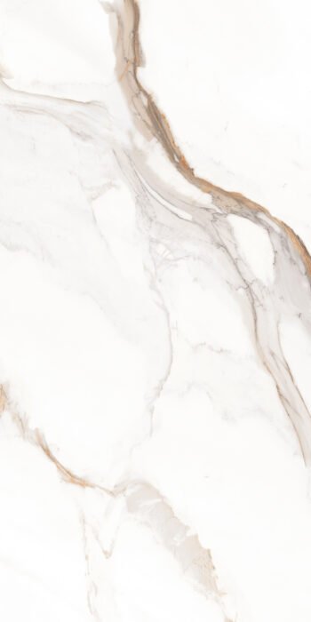 Mukta Statuario | 4X2 ft | Clasico Satvario Collection