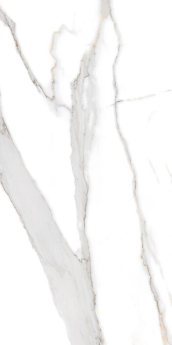 Selva Natural | 4X2 ft | Clasico Satvario Collection