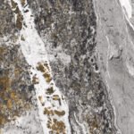 Sensy Lark | 600x1200mm | High glossy Tiles