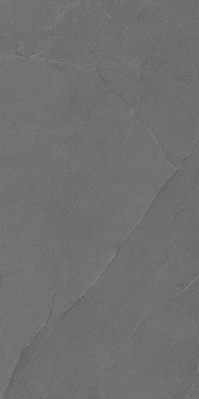 Slate Stone Grey Slate Stone Grey | 60x120 cm | Matt Gvt Tiles