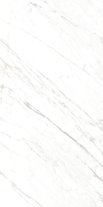 Vidam Statuario | 4X2 ft | Clasico Satvario Collection