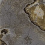 Videy Coffee | 600x1200mm | High glossy Tiles