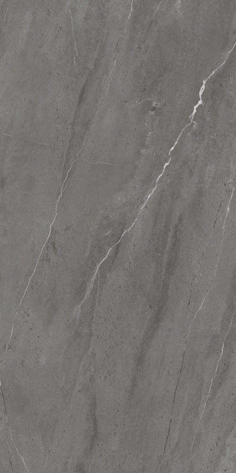 Zesto Grey Zesto Grey | 60x120 cm | Matt Gvt Tiles